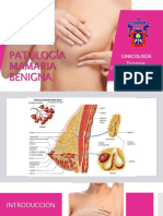 patologamamariabenigna-170918180811