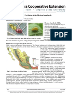 History, Distribution and Pest Status of The Mexican Bean Beetle