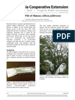 Fusarium Wilt of Mimosa (Albizia Julibrissin) : Symptoms