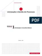 Curso de Gestão de Processos_Mód 1 - Introdução e Conceitos Básicos