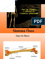 Sistema Oseo Oscar