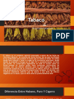 Tabaco: Propiedades, tipos y procesos de elaboración