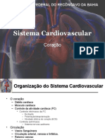 Sistema Cardiocirculatório