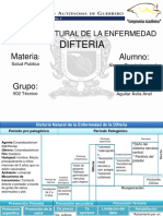 Historia Natural de La Difteria