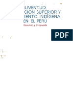 Juventud Educacion Superior y Movimiento Indigena en El Peru Resumen Propuesta