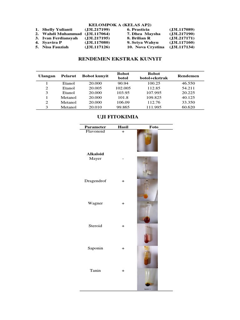 Rendemen Ekstrak Kunyit dan Uji Fitokimia | PDF