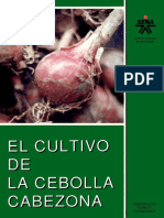 Cultivo Cebolla Cabezona