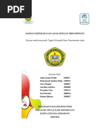 LP Anak Hisprung | PDF