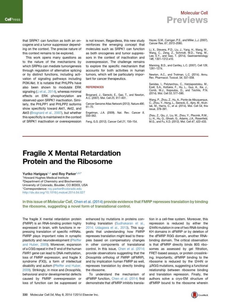 Previews: Fragile X Mental Retardation Protein and The Ribosome | PDF ...