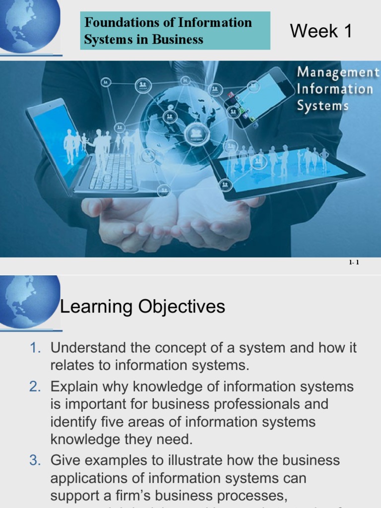 Foundations of Information Systems in Business | PDF | Information ...