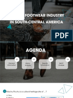 Leather Footwear Industry in South-Central America: Group 3