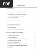 INDUSTRIAL TRAINING REPORT