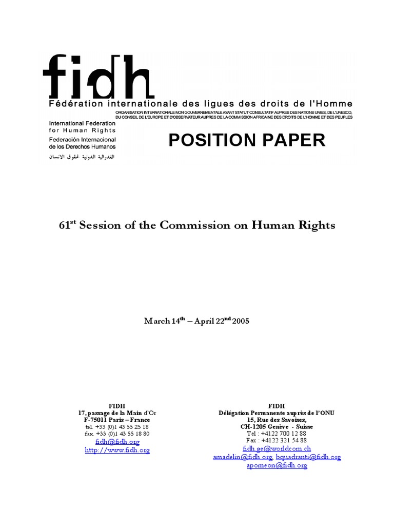 FIDH Position Paper on Human Rights 2005 | PDF | Human Rights ...