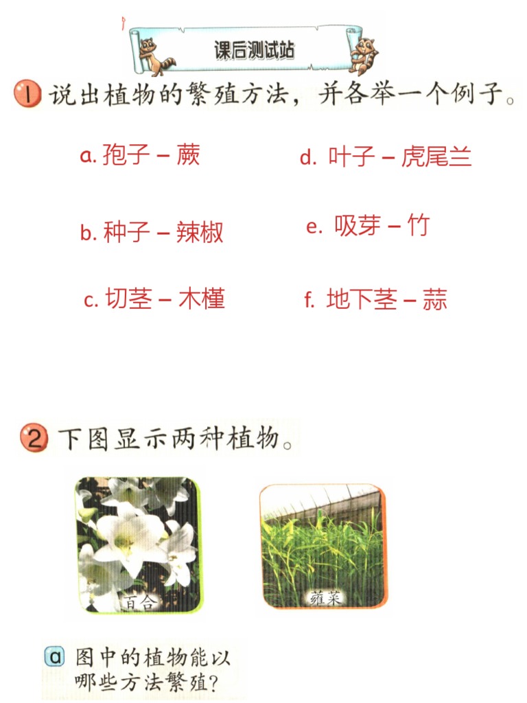 植物课后测试站 Pdf