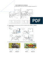 GUIA FORMATIVA N°5 CIENCIAS