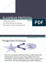 Klasifikasi Protozoa: Afrida Ayu Audia Dwi Fuji Hastuti BR Ginting Elizabeth Hardini Pangestiastuti