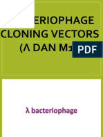 Bacteriophage Cloning Vectors (Λ DAN M13)