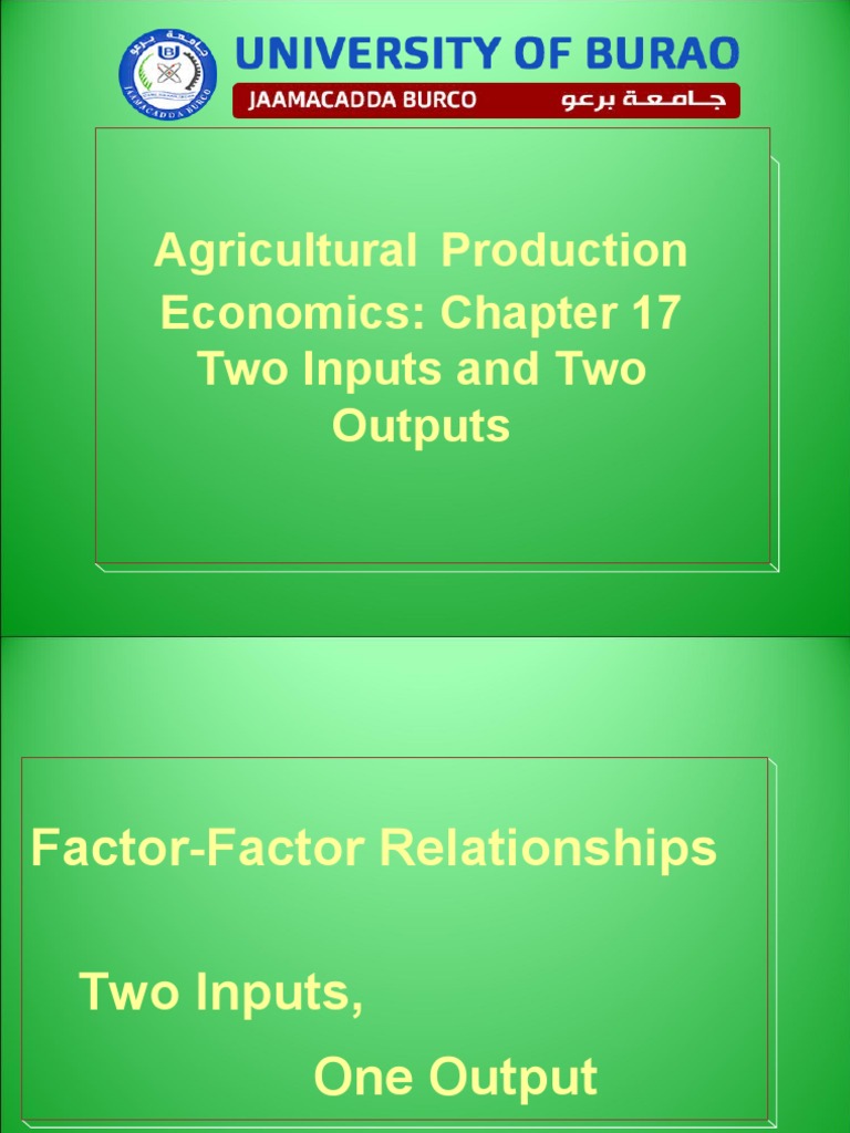 Two Input and Two Output PDF Economics Economies