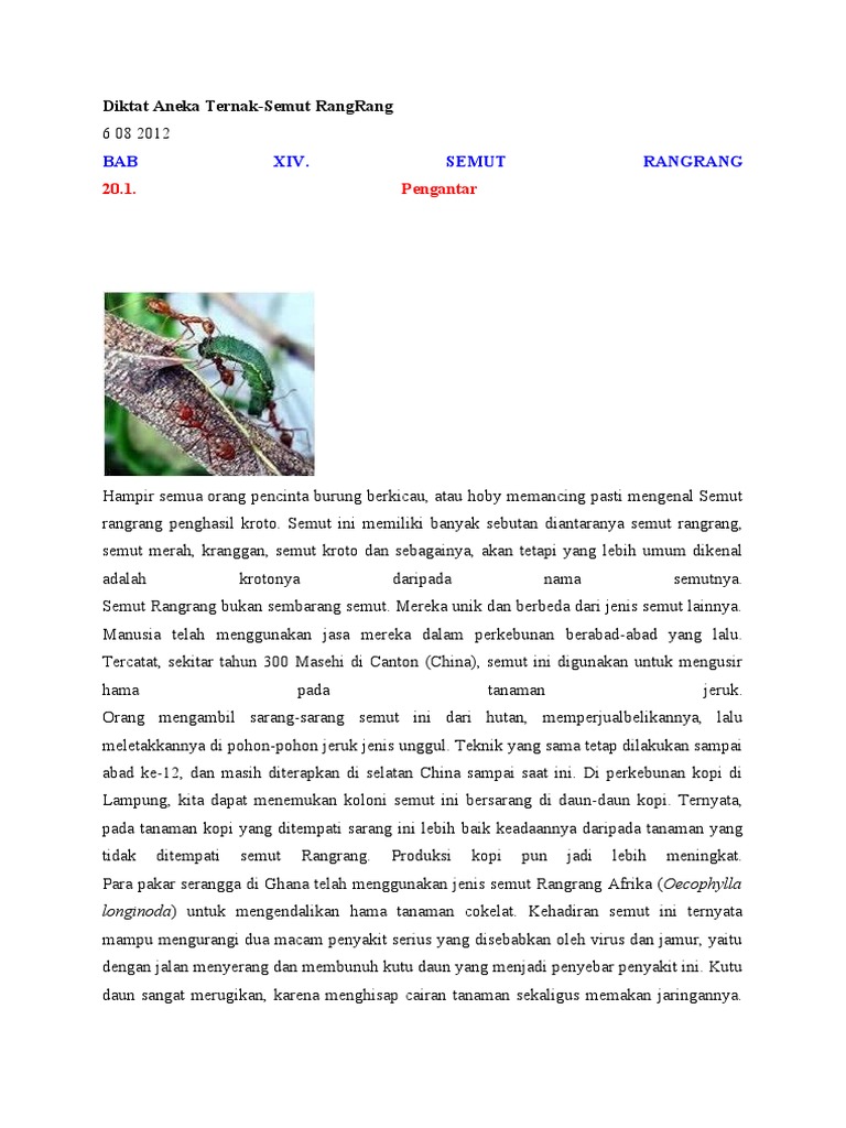 Manfaat dan Budidaya Semut Rangrang | PDF | Griya & Taman | Sains ...