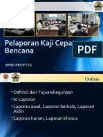 Pelaporan Kaji Cepat