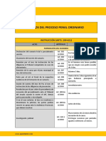 Plazos Del Proceso Penal Ordinario