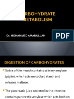 228 Carbohydrate Metabolism