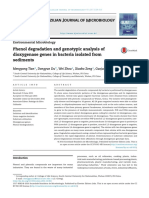 Phenol Degradation and Genotypic Analysis of Dioxygenase Genes in Bacteria Isolated From Sediments