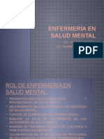 Enfermería en Salud Mental ROL ENFERMERÍA