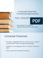 Universal Grammar Functional Approaches