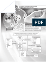 01 - Bab 1 Mikroorganisma Dan Kesannya Terhadap Benda Hidup