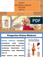 Sistem Ekskresi Manusia