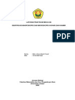 Moh. Anas Afandi Yusuf - Identifikasi Makroskopis Dan Mikroskopis Kapang Dan Khamir