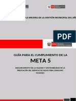 Guia Meta 5 Pi 2021