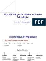 Penislin Process