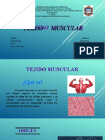 Tejido Muscular Grupo 5