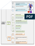 Cuadro Sinoptico Circulacion Fetal