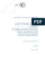 20210216-synthese-parcours-organisation-soins-psychiatrie