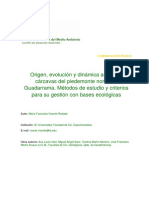 Evolución de Cárcavas Geomorfología