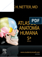 Anatomia de Netter 5ed