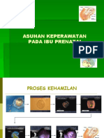 Asuhan Keperawatan Prenatal