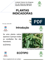 Plantas Indicadoras