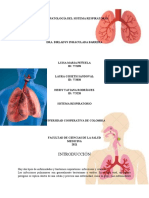 Histopatología Sistema Respiratorio