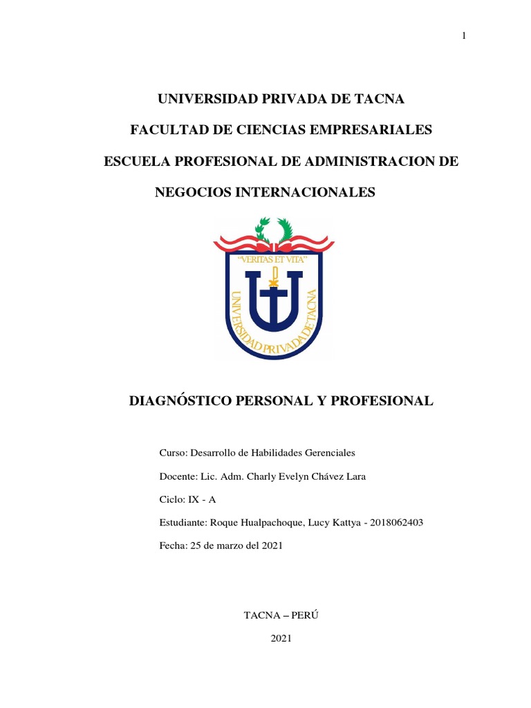 Diagnostico Personal y Profesional | PDF | Iniciativa empresarial ...