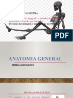 Anatomia General