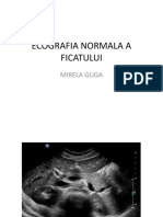 Ecografia Normala a Ficatului