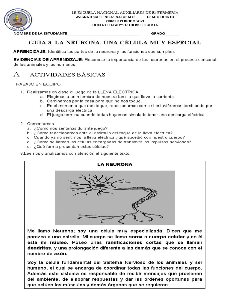 Guia 3 CN La Neurona | PDF | Neurona | Cerebro
