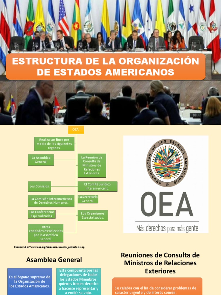 Estructura Oea Pdf Política Gobierno