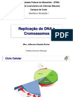 Replicação Do DNA e Cromossomos