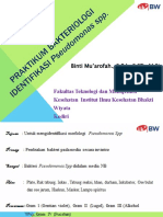 B. FTMK Identifikasi Pseudomonas