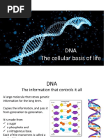 Week 5 - Genetics